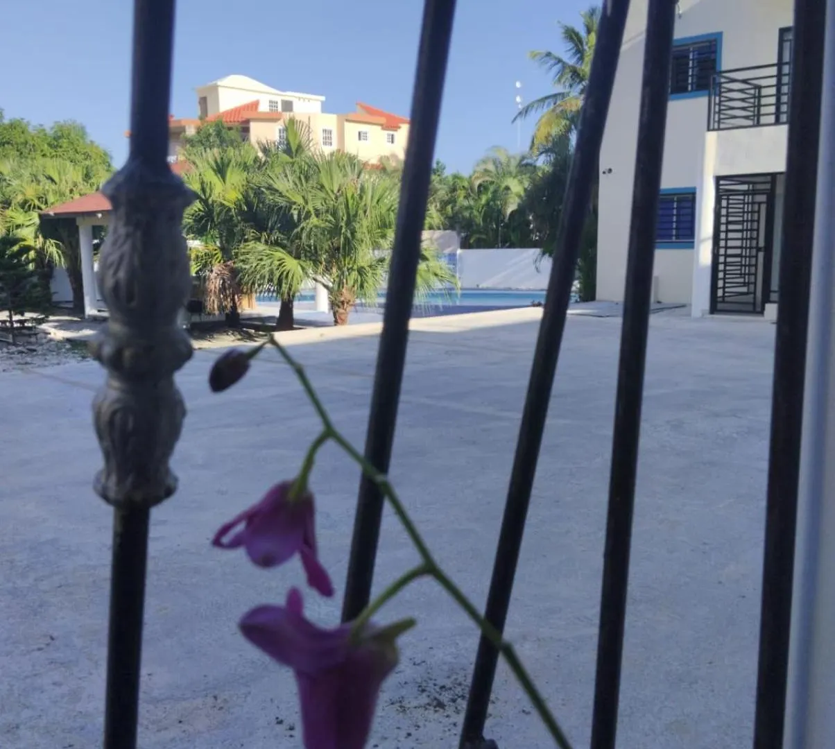 Nely Y Pietro Share Apartment