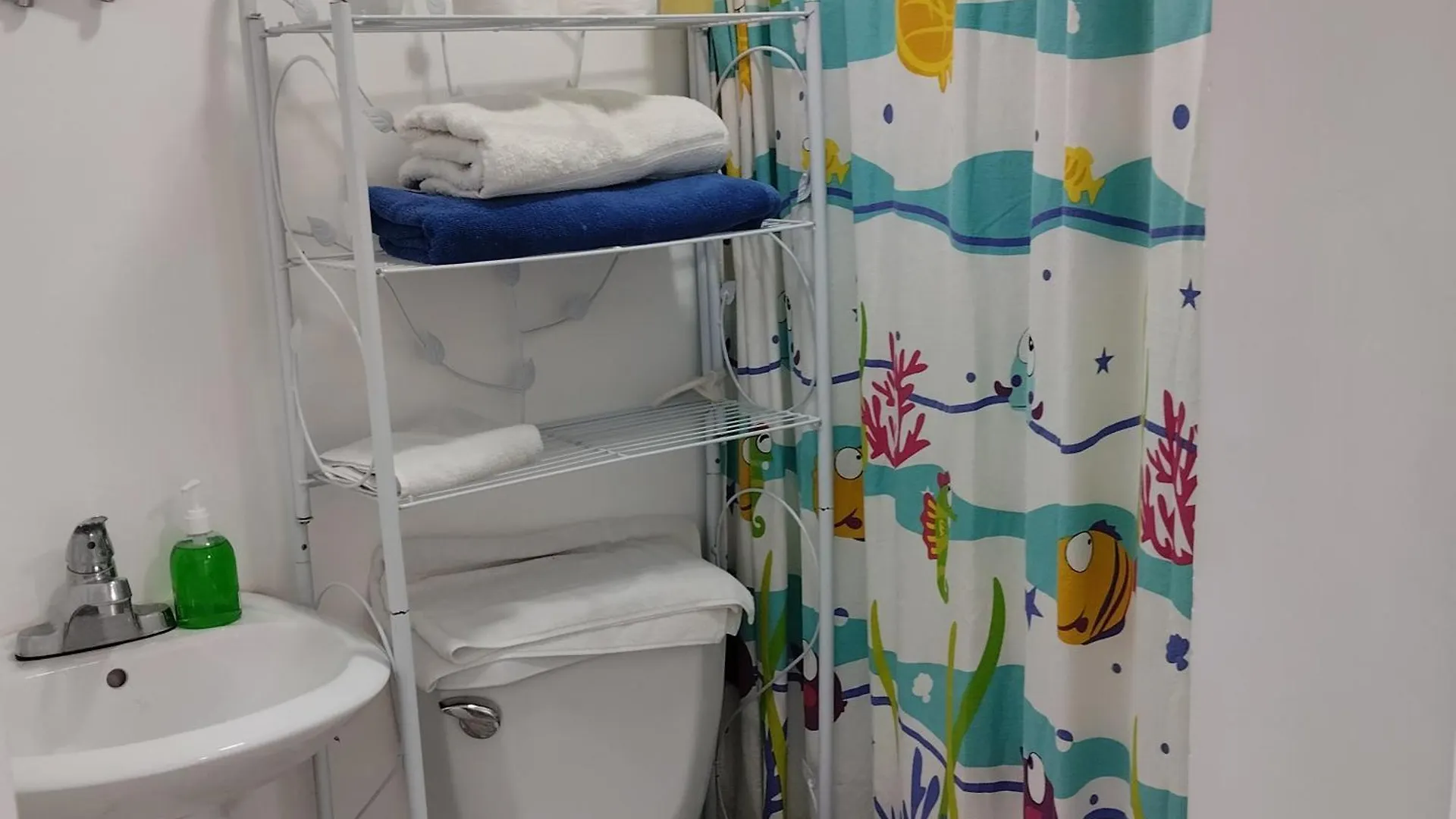 Bed and Breakfast Nely Y Pietro Share Apartment Πούντα Κάνα
